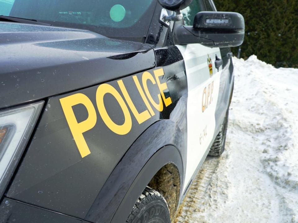 Ontario Provincial Police were looking for an 18-year-old man after a body was found west of Ottawa on Wednesday night. (Teghan Beaudette/CBC - image credit)