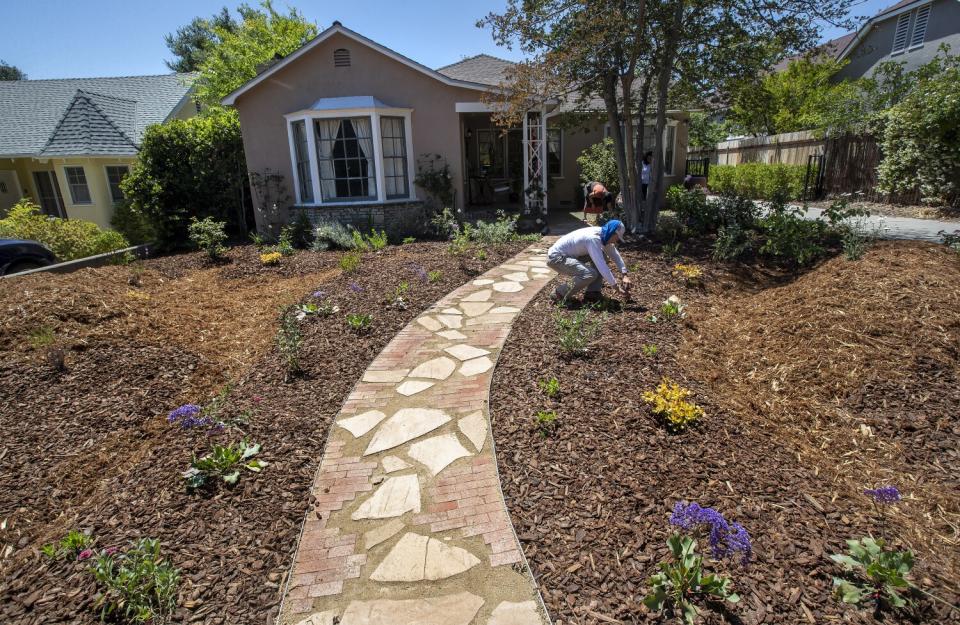 Alberto Campos adjusts a sprinkler that is part of a newly installed drought tolerant garden in Pasadena.