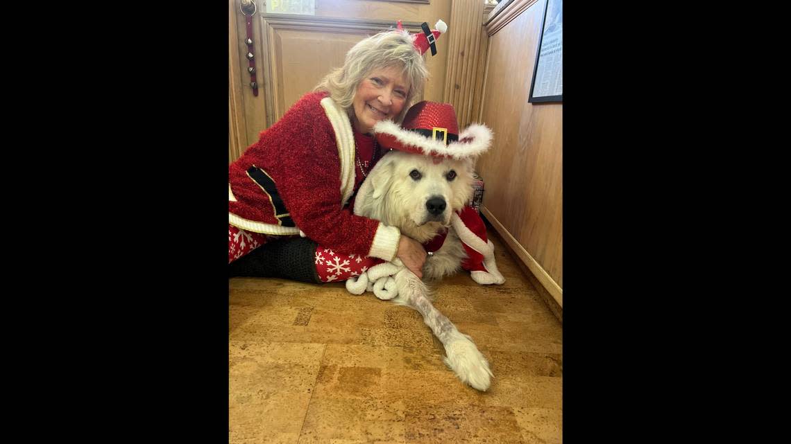 Beth Castelli poses with her pet and Coligny Hardware mascot, Maverick, on Christmas Day 2022. Castelli said the photo was the last one she took with Maverick.