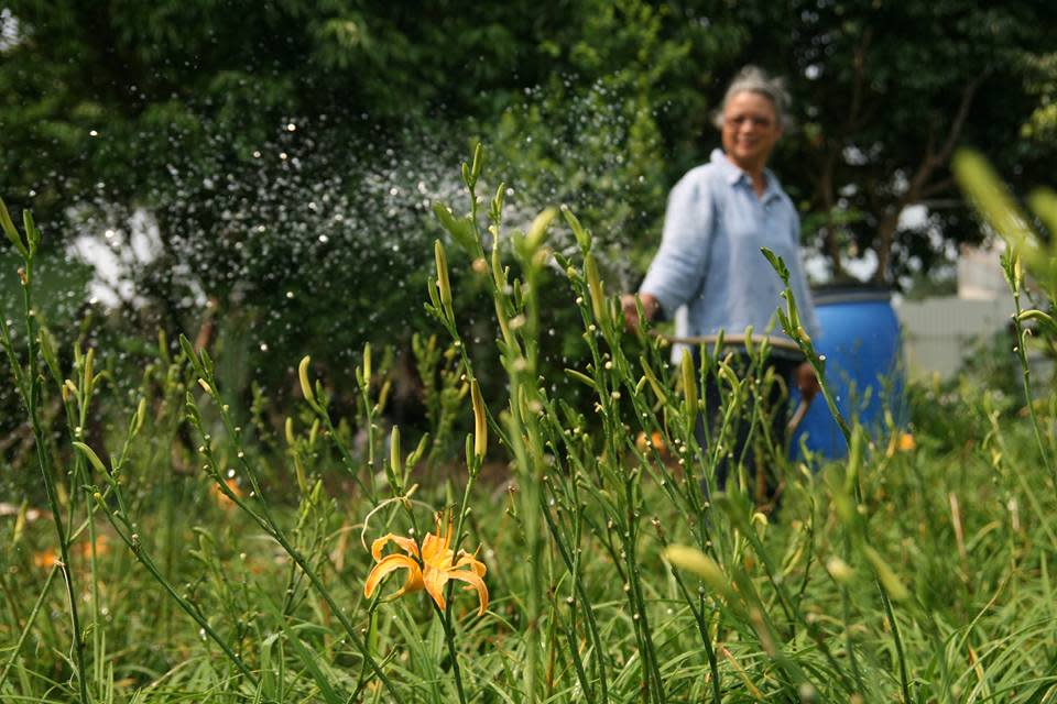 菜園農業先鋒田 The Pioneer Farm@facebook