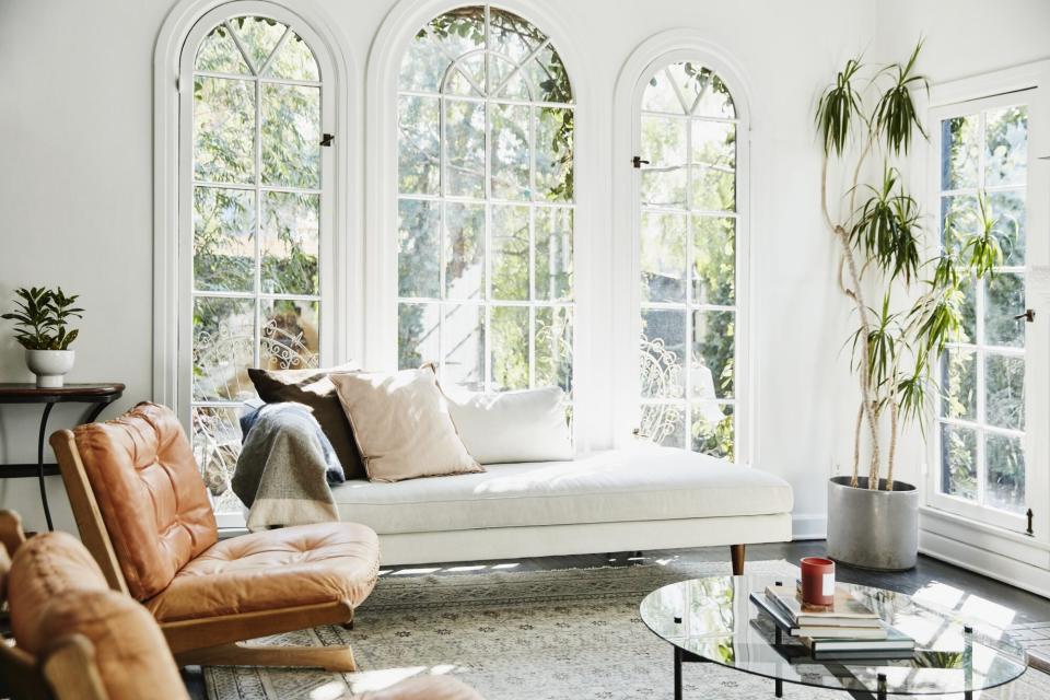 View of living room with houseplants