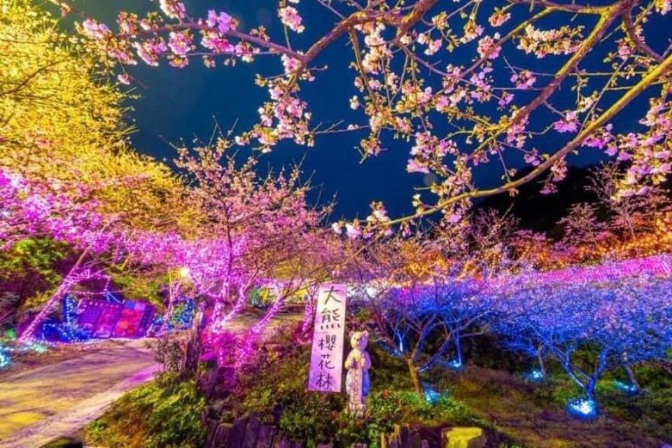 2023 Cherry Blossom Season｜Big Bear Cherry Blossom Forest & Common People’s Art Museum & He Naichuan Domestic Bean Factory & Three Gorges Old Street One-day Tour | Depart from Taipei & New Taipei. (Photo: KKday SG)