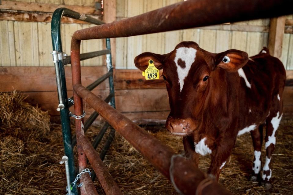 The former surgeon general, Jerome Adams, is sounding the alarm over bird flu concerns. REUTERS