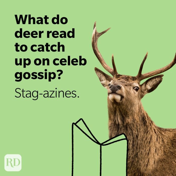 Stag reading magazine