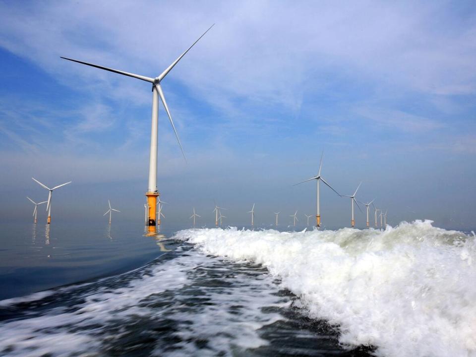 Offshore wind is long-established in Europe. Some people think it's time for Nova Scotia to follow suit.  (Christopher Furlong/Getty Images - image credit)