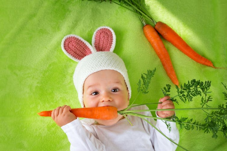 <span class="caption">Babies need more than just vegetables.</span> <span class="attribution"><a class="link " href="https://www.shutterstock.com/image-photo/baby-rabbit-hat-eating-fresh-carrot-317499134?src=rrXOFS-8ON9Z09hG8fSb_w-1-2" rel="nofollow noopener" target="_blank" data-ylk="slk:LeManna/Shutterstock;elm:context_link;itc:0;sec:content-canvas">LeManna/Shutterstock</a></span>