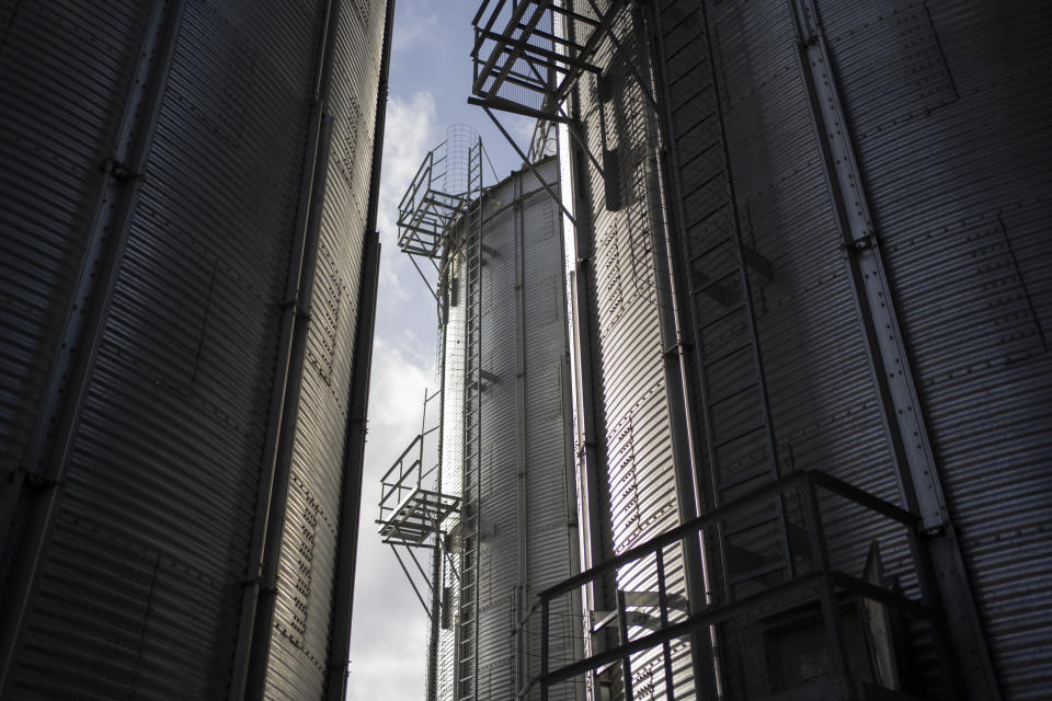 Silos filled with grain are seen at a handling and storage facility in central Ukraine, Friday, Nov. 10, 2023. In recent months, an increasing amount of grain has been unloaded from overcrowded silos and is heading to ports on the Black Sea, set to traverse a fledgling shipping corridor launched after Russia pulled out of a U.N.-brokered agreement this summer that allowed food to flow safely from Ukraine during the war. (AP Photo/Hanna Arhirova)