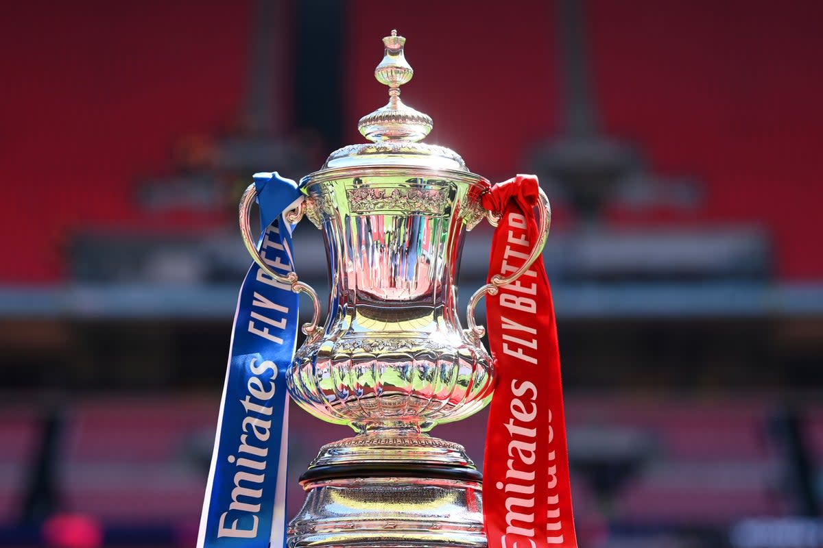 The FA Cup journey begins again in 2023/24 on Sunday  (The FA via Getty Images)