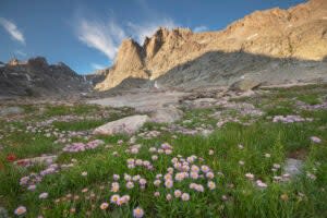 <span class="article__caption">Titcomb Basin looks great in all the seasons, but especially clad in spring wildflowers.</span> (Photo: Alan Majchrowicz/Photodisc via Getty Images)