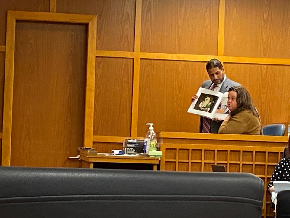 Assistant Public Defender Morris Carranza is shown during a different trial.