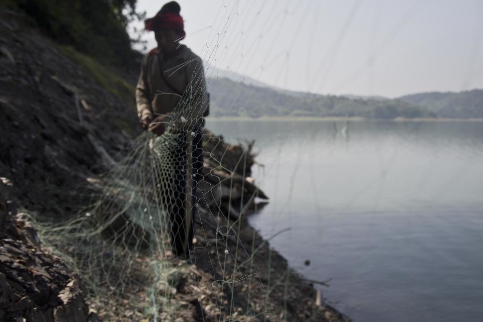 In this Saturday, Nov. 10, 2018 photo, Renkey Humtsoi, 48, hunter-turned-conservationist, removes an abandoned net which was used earlier to trap Amur Falcons at Doyang reservoir near Pangti village in Wokha district, in the northeastern Indian state of Nagaland. The people in the area transformed from being hunters—killing up to 15,000 migratory Amur Falcons a day in 2012—to conservators - a feat that locals regard as one of the biggest conservation success stories in South Asia. (AP Photo/Anupam Nath)