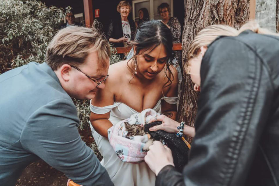 PJ Dhaliwal in her wedding dress holding the possum in a pillow case as her husband and a fellow carer watch on.