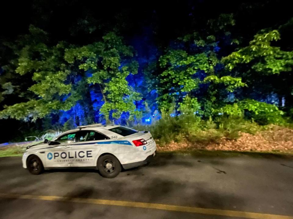 Police in Gwinnett County, Georgia, have identified three children killed in a possible murder-suicide. Photo by the Gwinnett County Police Department