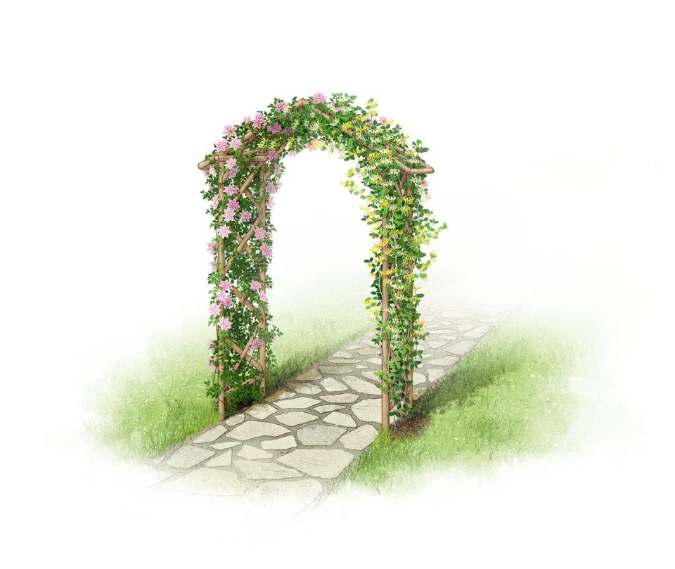 <p>For an old-fashioned and romantic look, pair a simple arch design with climbers that bear colourful blooms in abundance. Scented climbers like honeysuckle, jasmine and roses are perfect for arches, as the blooms project their perfume just at the right height.</p><p><strong>SHOP NOW...</strong></p><p>• <a href="https://www.amazon.co.uk/Selections-Elegance-Wooden-Garden-Ground/dp/B01C4EDXCQ/" rel="nofollow noopener" target="_blank" data-ylk="slk:Selections Wooden Garden Arch via Amazon;elm:context_link;itc:0;sec:content-canvas" class="link ">Selections Wooden Garden Arch via Amazon</a></p><p>• <a href="https://www.manomano.co.uk/p/trellis-arch-150-x-50-x-220-cm-wood-1602417" rel="nofollow noopener" target="_blank" data-ylk="slk:Trellis arch via ManoMano;elm:context_link;itc:0;sec:content-canvas" class="link ">Trellis arch via ManoMano</a></p><p>• <a href="https://www.diy.com/departments/blooma-softwood-round-top-arch/260013_BQ.prd" rel="nofollow noopener" target="_blank" data-ylk="slk:Blooma Softwood Round Top Arch via B&Q;elm:context_link;itc:0;sec:content-canvas" class="link ">Blooma Softwood Round Top Arch via B&Q</a></p>