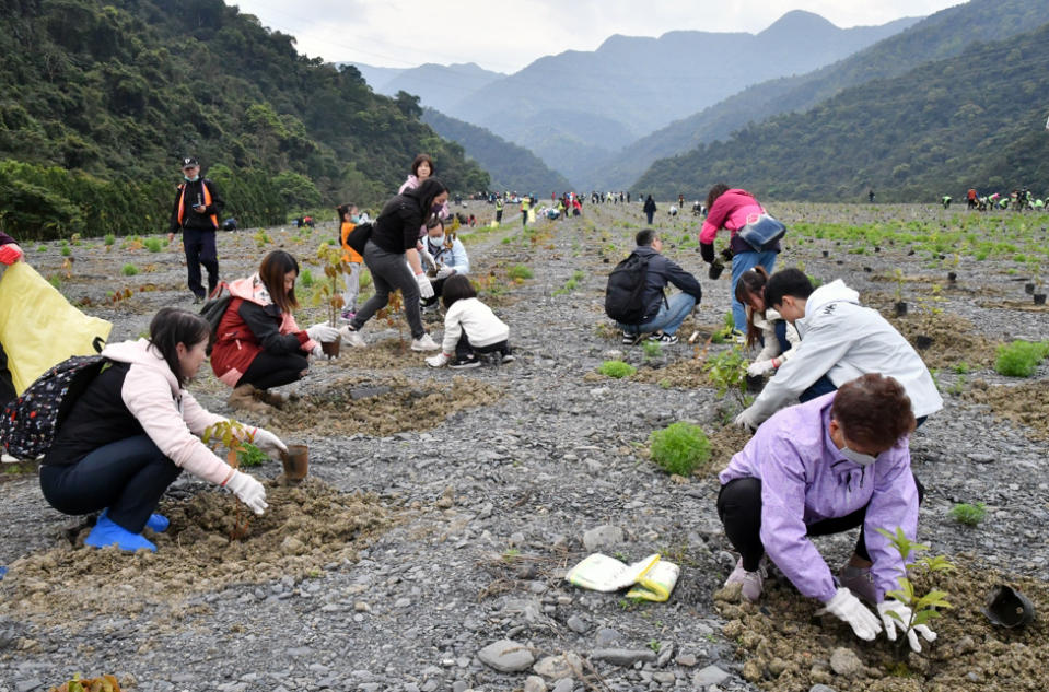 ▲民眾挽起袖子認真栽種樹苗。（圖／農村水保署臺北分署提供）