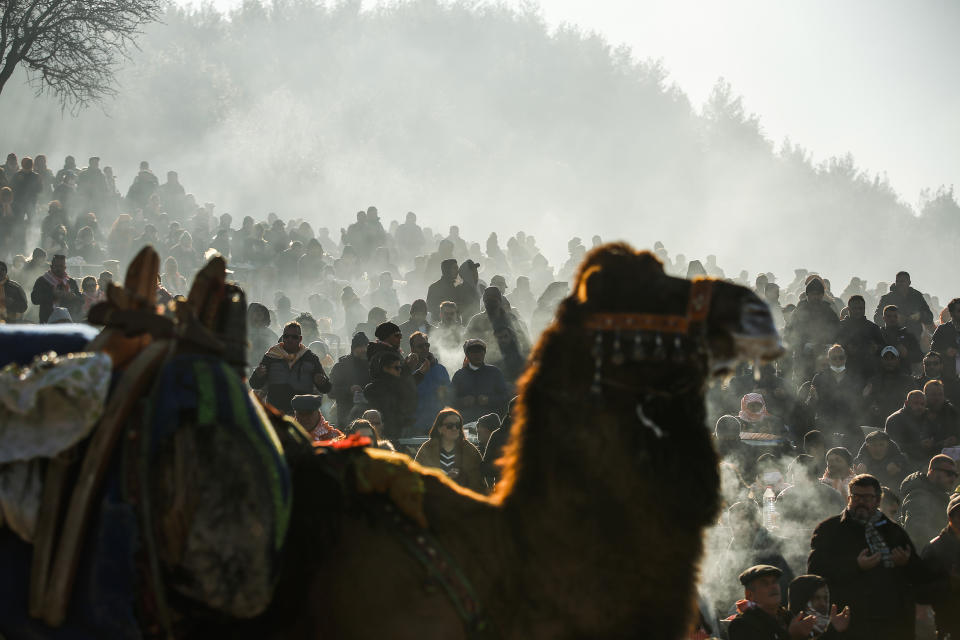 Spectators watch camels wrestling during Turkey's largest camel wrestling festival in the Aegean town of Selcuk, Turkey, Sunday, Jan. 16, 2022. They were competing as part of 80 pairs or 160 camels in the Efes Selcuk Camel Wrestling Festival, the biggest and most prestigious festival, which celebrated its 40th run. (AP Photo/Emrah Gurel)