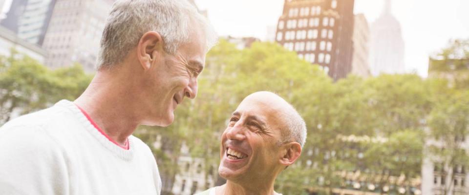 Gay Couple at Park in New York