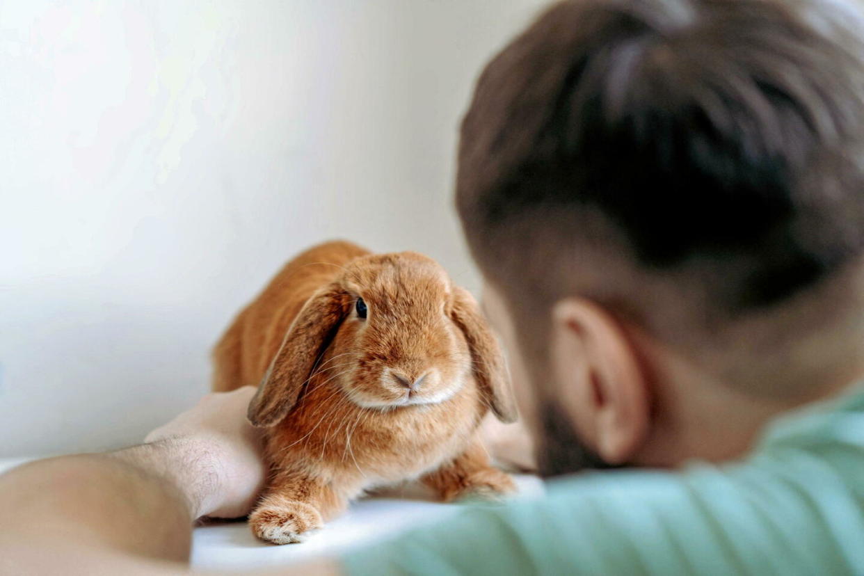  Au XIXe siècle, le mot « lapin » ne renvoyait pas seulement au petit mammifère aux longues oreilles. Dans le milieu de la prostitution, un « lapin » était un client qui partait sans payer.  - Credit:www.alamy.com / Alamy Stock Photo / Abaca