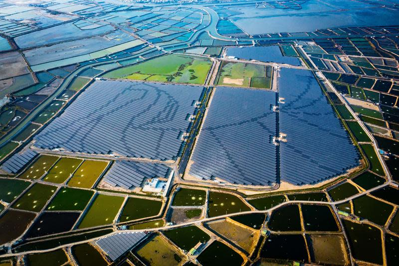 韋能能源嘉義義竹電廠生態保留區，彰顯了電廠生態共榮的永續價值。（韋能能源提供）