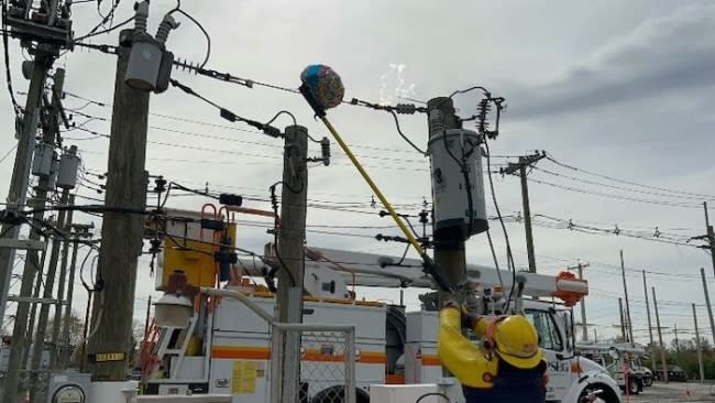 PSE&G lineworkers demonstrate Mylar balloon contact with energized equipment.