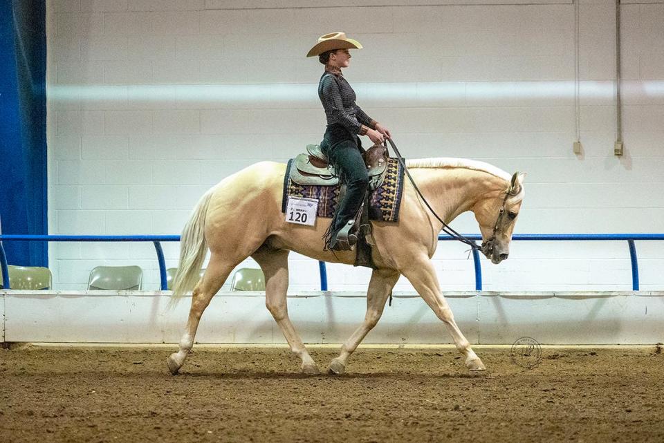 Jordan Martin, riding a horse named Oliver Herrin, competes during the Intercollegiate Horse Shows Association Western Semi-Finals March 22-23 at the Tennessee Livestock Center in Murfreesboro, Tenn. Martin, a junior horse science major from Murfreesboro, enjoyed a hugely successful event, earning overall High Point honors for Zone 5 Region 1, Reserve Champion in Individual Horsemanship and third- and fourth-place finishes in other team and individual events, qualifying her for IHSA Nationals in May.