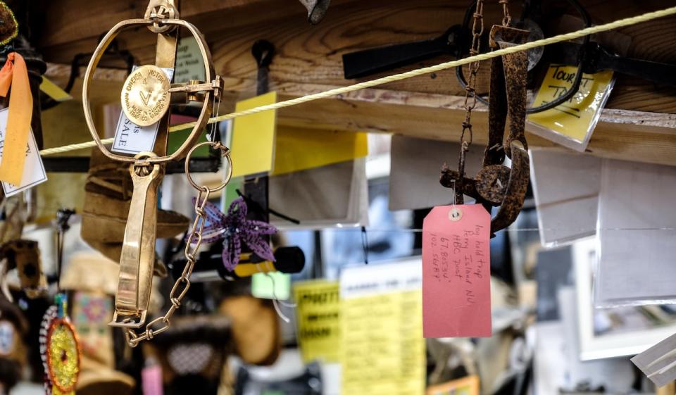 Old traps hang from the ceiling at Robertson Trading. 