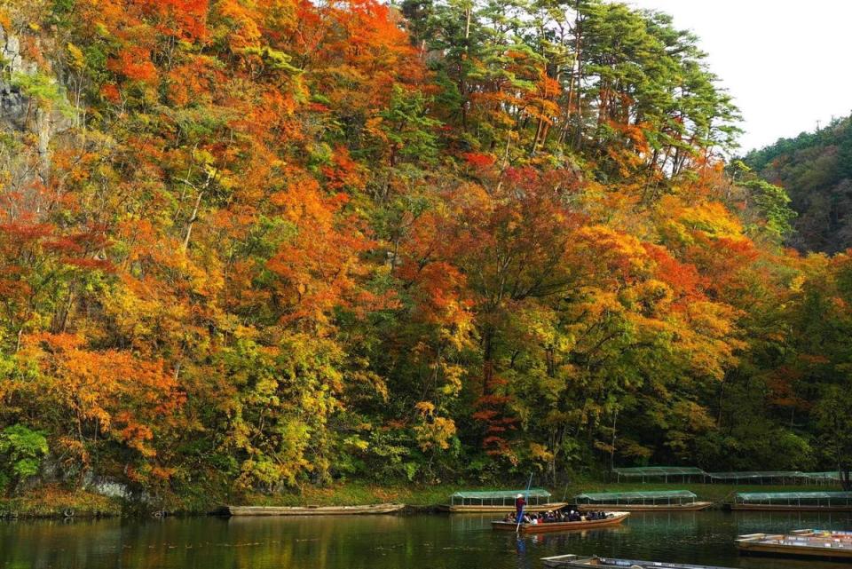 日本岩手縣猊鼻溪被選為日本百景之一，可乘著輕舟從溪上欣賞不一樣的秋日美景。（可樂旅遊提供）
