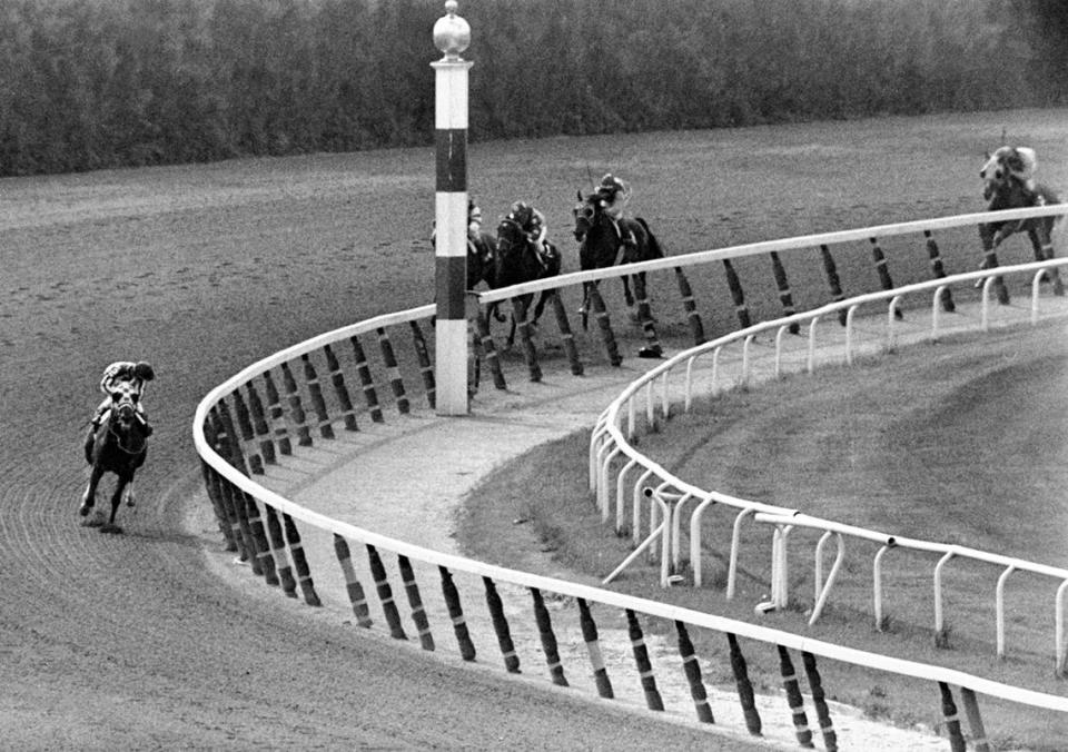 Jockey Ron Turcotte, left, aboard Secretariat, turns for a look at the field behind as they make the final turn on their way to winning the 1973 Triple Crown in the Belmont Stakes.