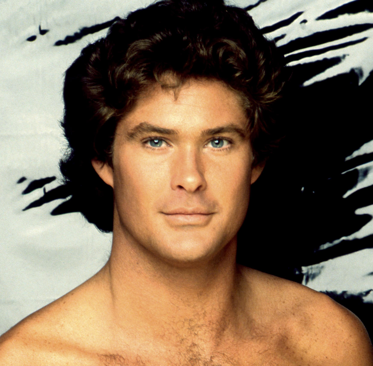  Forgotten 80s icons david hasselhoff. 