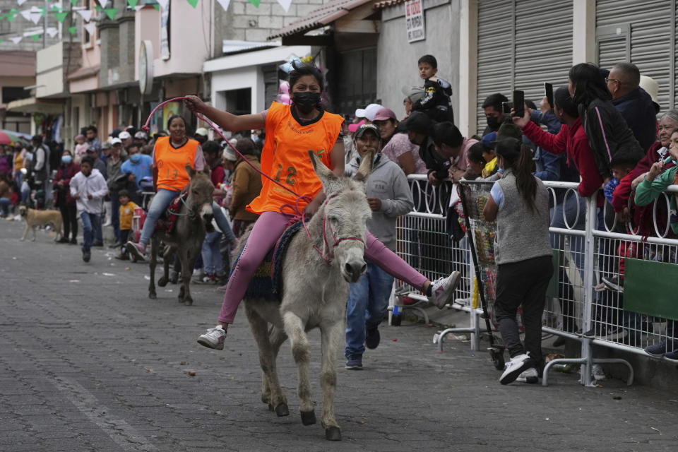 Jinetes y sus burros participan en una prueba eliminatoria para pasar a la carrera principal durante un festival de estos equipos en Salcedo, Ecuador, el sábado 10 de septiembre de 2022. (AP Foto/Dolores Ochoa)