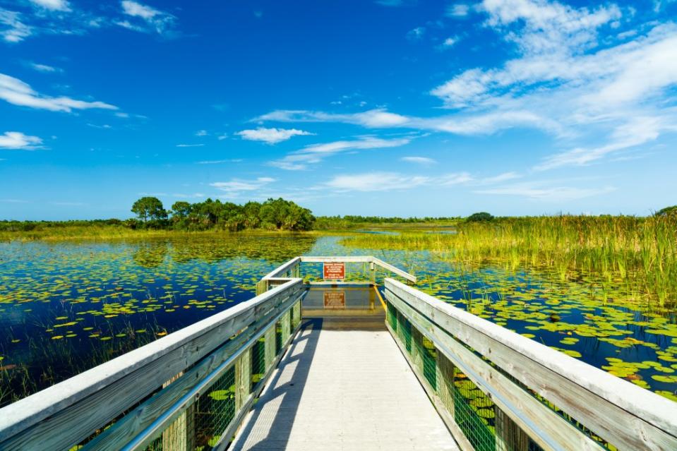 Beautiful nature preserve in Port Saint Lucie Florida via Getty Images