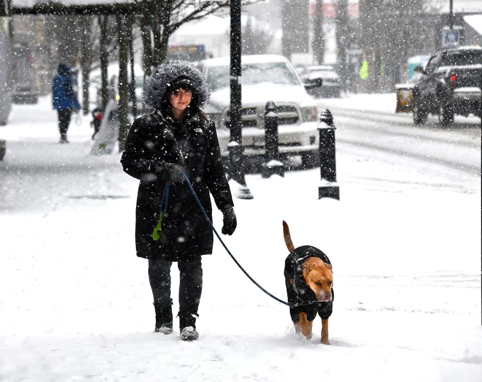 Kelsey Murray of Worcester walks her dog Beau as Tuesday's storm ramps up around noon in Worcester, Mass.