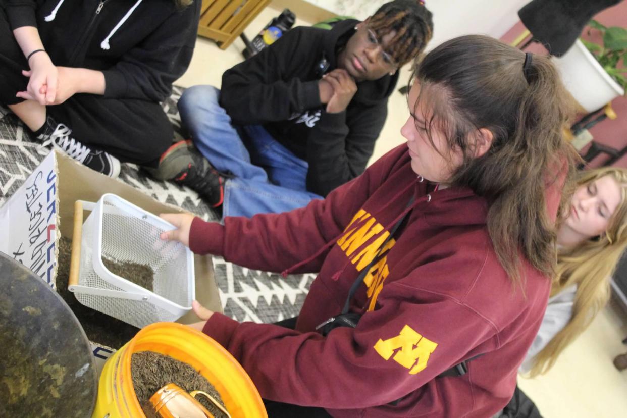 Prescott High School sophomore Allie Tibayan sifts wild rice at the Lac du Flambeau Band of Lake Superior Chippewa Indians reservation.