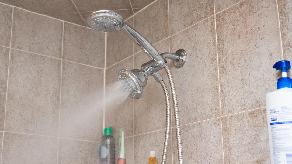 A third of Americans don’t shower daily, according to a Harvard Medical School report published in 2021.