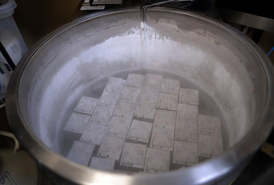 Containers hold frozen embryos and sperm in liquid nitrogen at a fertility clinic in Fort Myers, Florida.