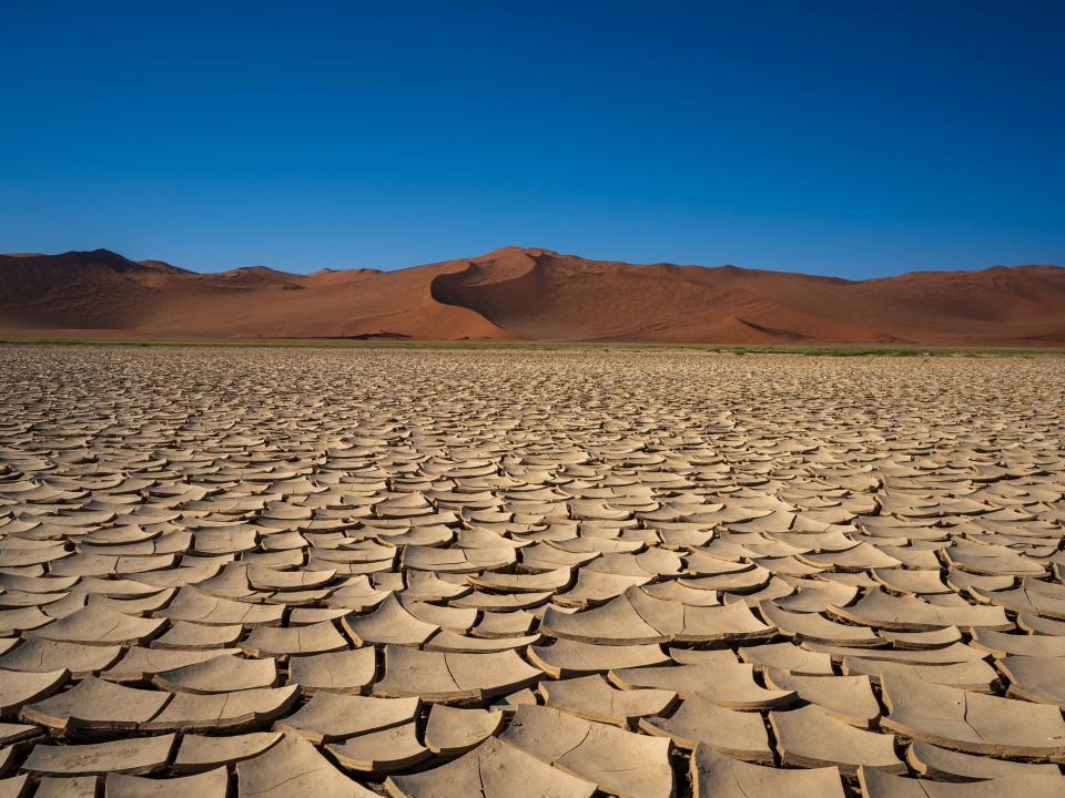 A cracked field of clay in Sossusvlei in the Namib-Naukluft National Park of Namibia.