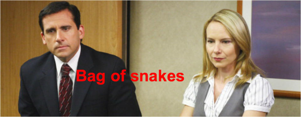 <p>Bag of snakes: A business situation with many unexpected problems. </p>