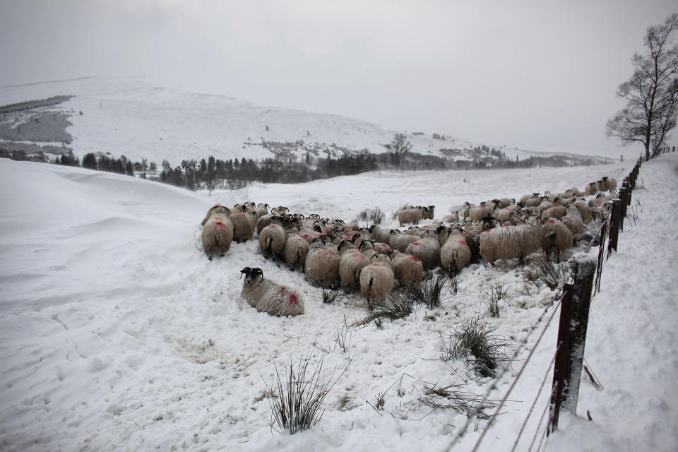 Spring Snowstorm Hits Northern Scotland