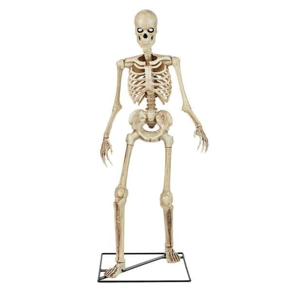 <p><a href="https://go.redirectingat.com?id=74968X1596630&url=https%3A%2F%2Fwww.homedepot.com%2Fp%2FHome-Accents-Holiday-3-ft-LED-Skeleton-23SV23630%2F324116371&sref=https%3A%2F%2Fwww.bestproducts.com%2Fhome%2Fdecor%2Fg45446877%2Fhome-depot-halloween-decorations-october-2023%2F" rel="nofollow noopener" target="_blank" data-ylk="slk:Shop Now;elm:context_link;itc:0;sec:content-canvas" class="link ">Shop Now</a></p><p>3-Foot LED Skeleton</p><p>homedepot.com</p><p>$39.98</p>