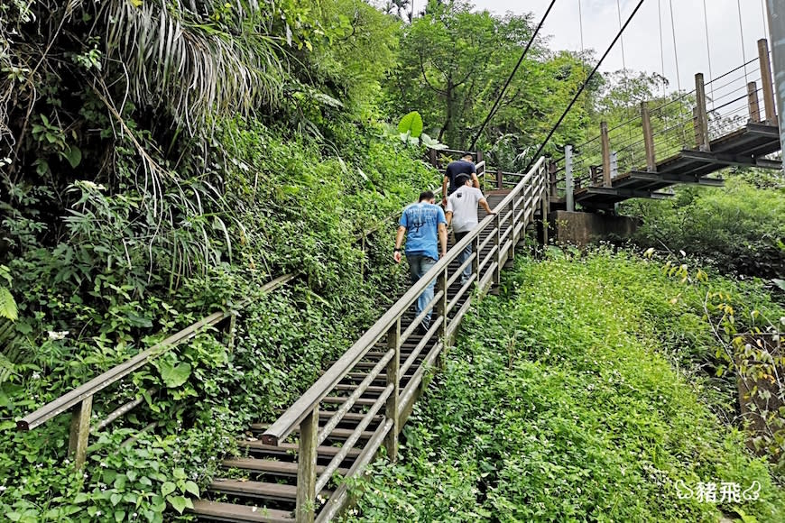 雲林古坑｜華山園區小天梯＆情人橋