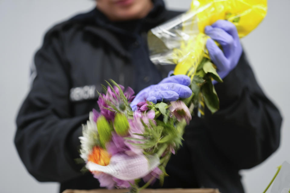 A U.S. Customs and Border Protection agriculture specialist vigorously taps a bunch of imported flowers to dislodge any potential harmful pests, during flower inspections at Miami International Airport in Miami, Monday, Feb. 12, 2024. Roughly 90% of flowers imported to the U.S. pass through Miami's airport, most of them arriving from South American countries such as Colombia and Ecuador. (AP Photo/Rebecca Blackwell)