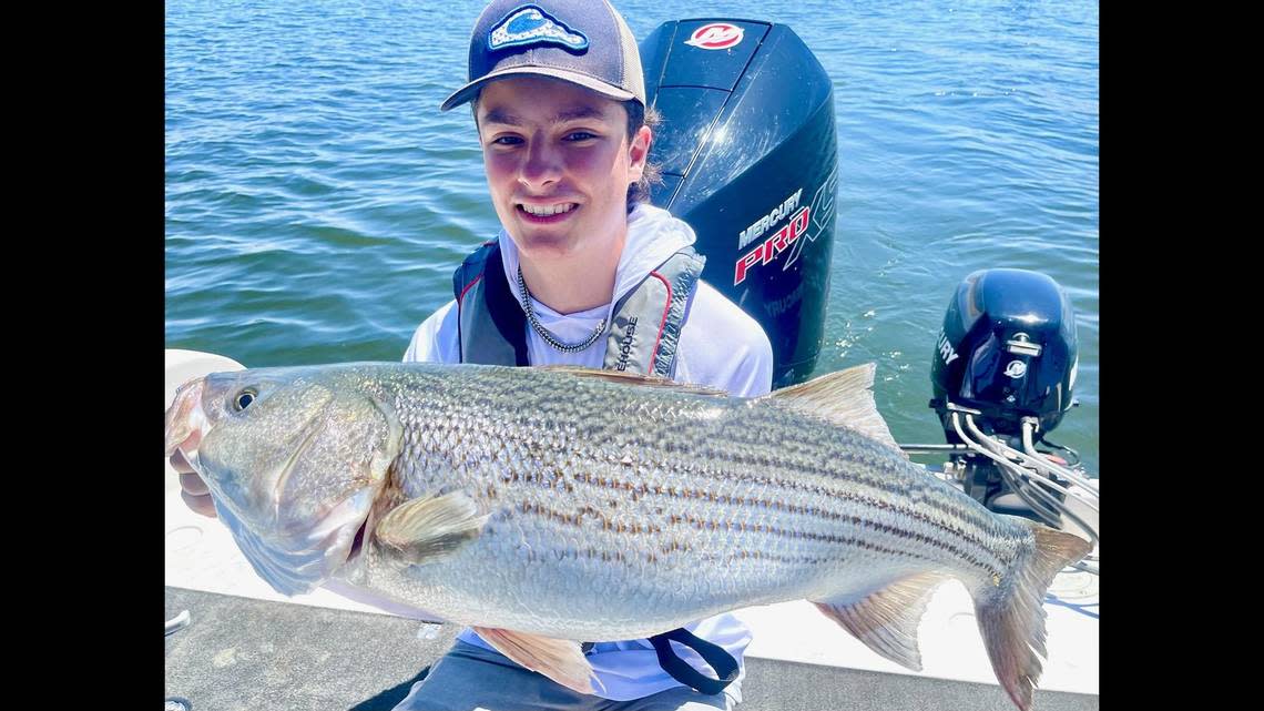 Gabe Krikorian, 17, of Fresno displays a 34-inch, 14 pound San Luis striper he recently caught as a personal best. The fish was released back into the San Luis Reservoir.