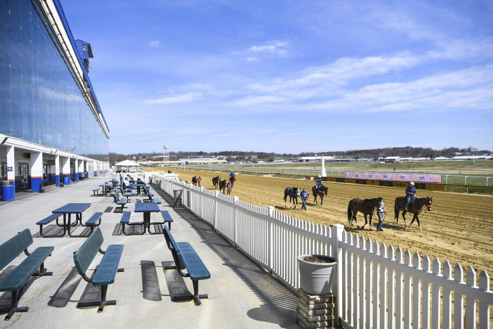 Horses are led across the track in front of an empty grandstand area before racing at Laurel Park Race Track, Saturday, March 14, 2020, in Laurel, Md. While most of the sports world is idled by the coronavirus pandemic, horse racing runs on. (AP Photo/Terrance Williams)