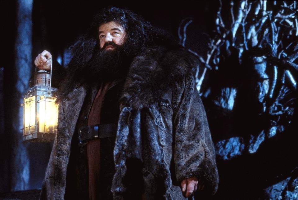 Robbie Coltrane as Hagrid