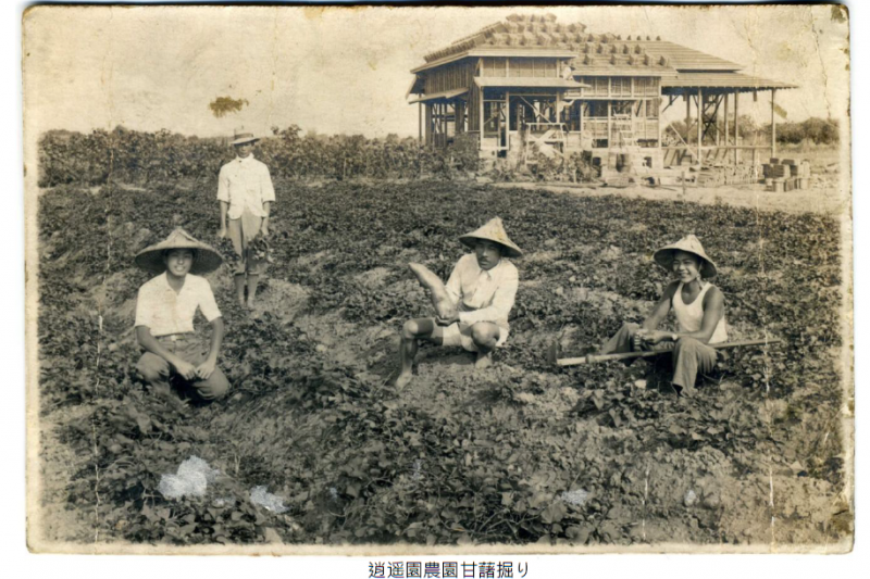 日治時期農人在逍遙園中務農一景。(圖日人二角龍藏提供)