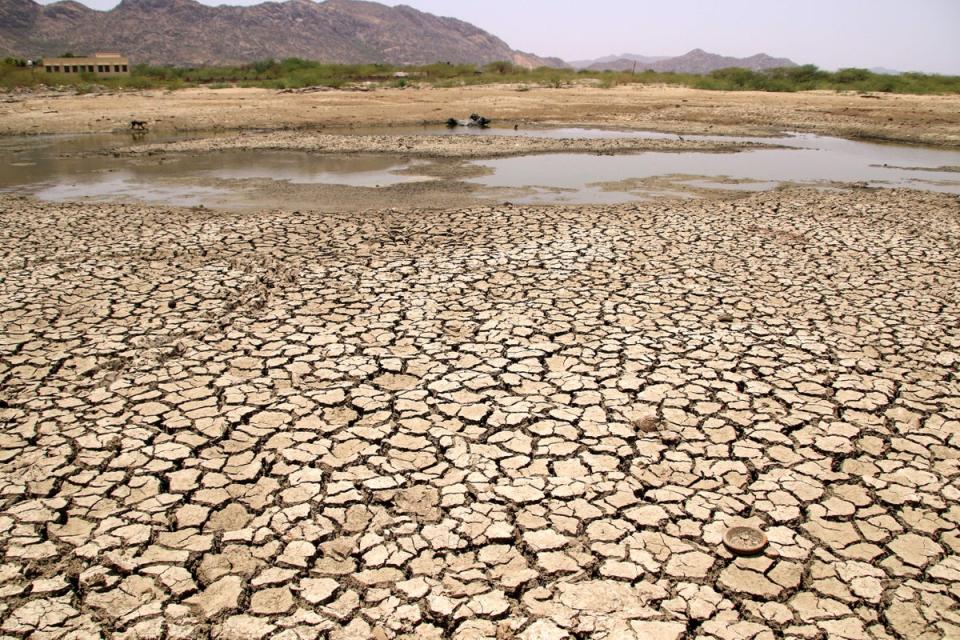 View of a lake running dry on a hot summer day near Ajmer, Rajasthan (AFP/Getty)