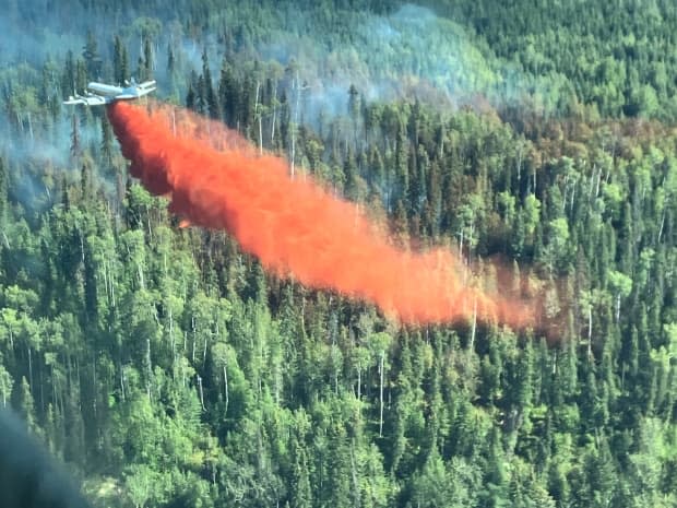 Submitted by B.C. Wildfire Service