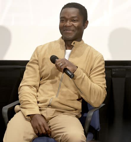 <p>Todd Williamson/JanuaryImages</p> David Oyelowo