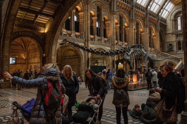 Last Day At The Museum For Dippy The Diplodicus