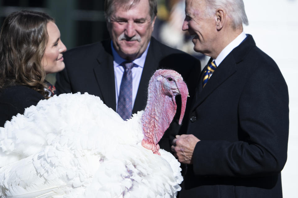 UNITED STATES - NOVEMBER 21: Chocolate,from Circle S Ranch in Monroe, N.C., looks on as President Joe Biden speaks with Ronald Parker, chairman of the National Turkey Federation, and Alexa Starnes, daughter the ranch owner, during the National Thanksgiving Turkey Pardoning on the South Lawn of the White House on Monday, November 21, 2022. (Tom Williams/CQ-Roll Call, Inc via Getty Images)
